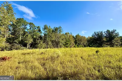 0 Eugene Ward Road, Adrian, GA 31002 - Photo 14