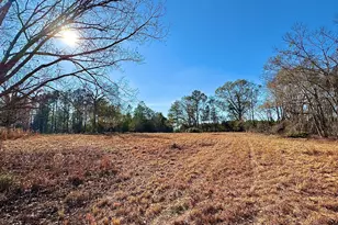 0 Eugene Ward Rd, Adrian, GA 31002 - Photo 1