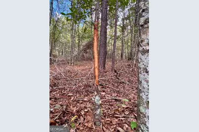 0 Eugene Ward Road, Adrian, GA 31002 - Photo 28