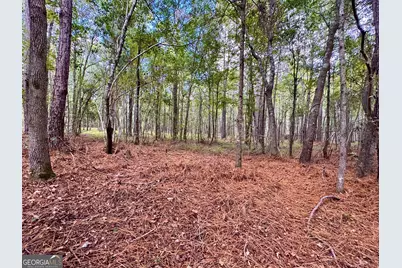 0 Eugene Ward Road, Adrian, GA 31002 - Photo 30