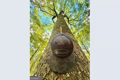 0 Eugene Ward Road, Adrian, GA 31002 - Photo 20