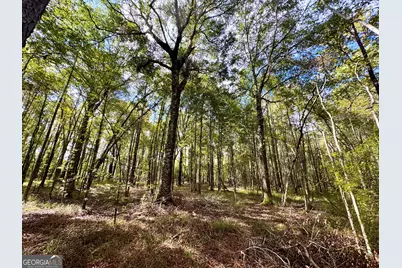 0 Eugene Ward Road, Adrian, GA 31002 - Photo 18