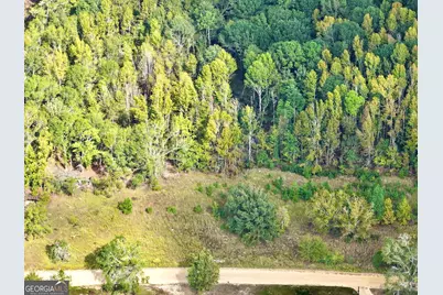 0 Eugene Ward Road, Adrian, GA 31002 - Photo 10