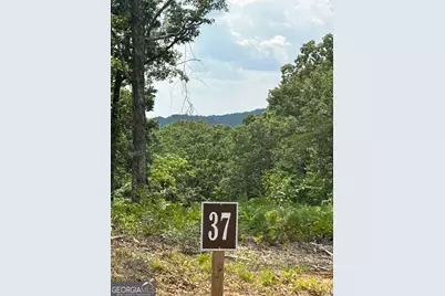 37 Blalock Mountain Road, Ellijay, GA 30540 - Photo 6