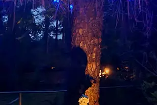 143 Arden Dr, Swainsboro, GA 30401 - Photo 38