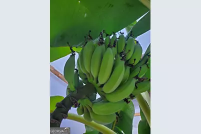 143 Arden Drive, Swainsboro, GA 30401 - Photo 40