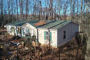 61 Lake Rd Ct, Ellijay, GA 30540 - Photo 2