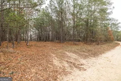 101 Mission Farm Road, Gordon, GA 31031 - Photo 4