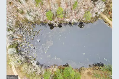 10544 Burkhalter Road, Statesboro, GA 30461 - Photo 60