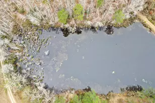 10544 Burkhalter Rd, Statesboro, GA 30461 - Photo 60