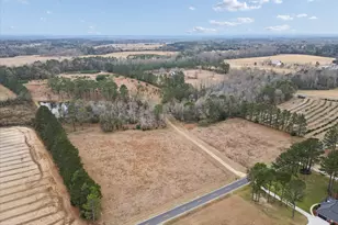 10544 Burkhalter Rd, Statesboro, GA 30461 - Photo 66