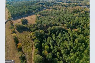 14381 County Road 66, Heflin, AL 36264 - Photo 4