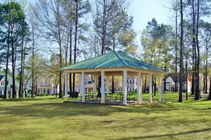 41 Corbel Way, Newnan, GA 30265 - Photo 72