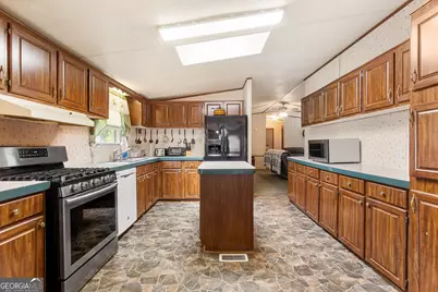 294 Birch Road, Franklin, GA 30217 - Photo 6