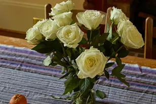 2569 Riverbend Rd, Athens, GA 30605 - Photo 8