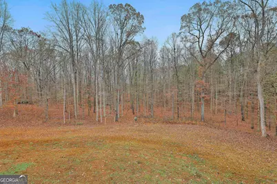 1234 Haynie Road, Moreland, GA 30259 - Photo 46