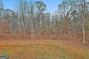 1234 Haynie Rd, Moreland, GA 30259 - Photo 46