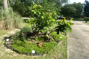 615 E 28th Ave, Cordele, GA 31015 - Photo 42