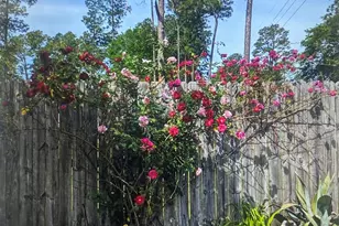 615 E 28th Ave, Cordele, GA 31015 - Photo 24