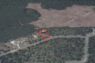 0 Big Horse Dr, Waynesville, GA 31566 - Photo 1