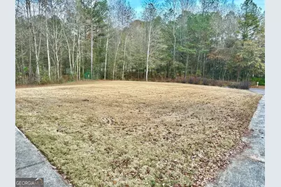 245 Buck Smith Road, Hogansville, GA 30230 - Photo 36