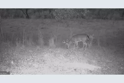 455 Riverbend Road SW, Plainville, GA 30733 - Photo 58