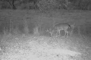 455 River Bend Rd SW, Plainville, GA 30733 - Photo 58