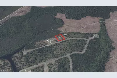 0 Big Horse Drive #84, Waynesville, GA 31566 - Photo 4