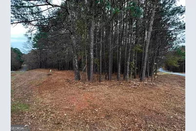 1220 Anchor Bay Circle, Greensboro, GA 30642 - Photo 24