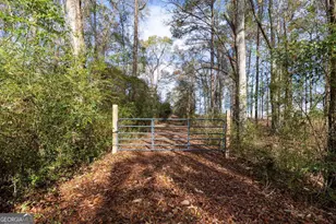 13145 Ga Hwy 0315, Cataula, GA 31804 - Photo 1