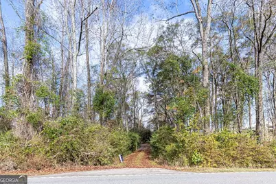 13145 Ga Highway 0315, Cataula, GA 31804 - Photo 16