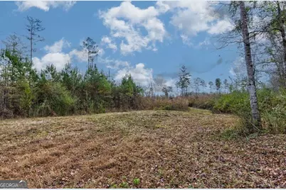 13145 Ga Highway 0315, Cataula, GA 31804 - Photo 10