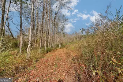 13145 Ga Highway 0315, Cataula, GA 31804 - Photo 12