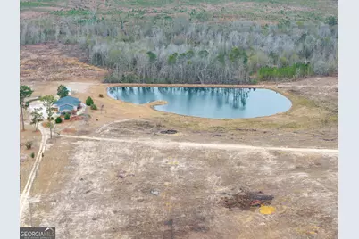 5321 Irma Lee Lane, Tarrytown, GA 30470 - Photo 6