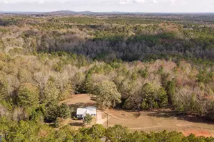 161 Calhoun Rd, Hamilton, GA 31811 - Photo 46