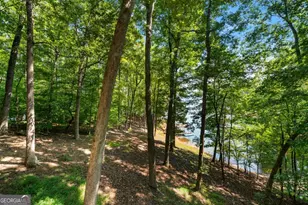 180 Waterfront Dr, Dawsonville, GA 30534 - Photo 8