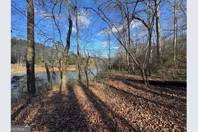 1190 James Adams Road, Danielsville, GA 30633 - Photo 4