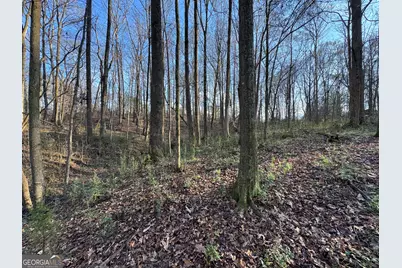 301 Collins Dudley Road, Danielsville, GA 30633 - Photo 16