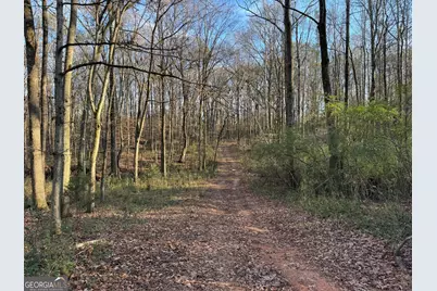 301 Collins Dudley Road, Danielsville, GA 30633 - Photo 26