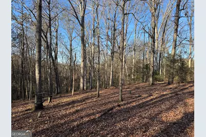 301 Collins Dudley Road, Danielsville, GA 30633 - Photo 8