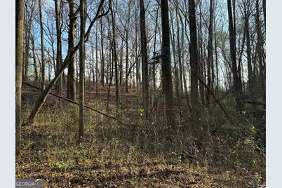 301 Collins Dudley Road, Danielsville, GA 30633 - Photo 12