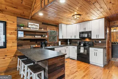 162 Little Falls Drive, Mineral Bluff, GA 30559 - Photo 6