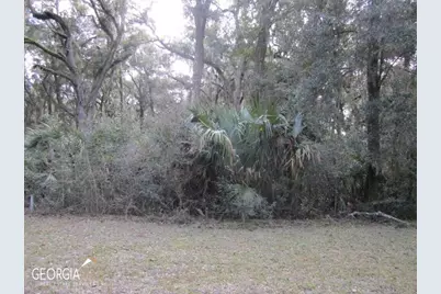 V/L 1005 Doubloon Court, Saint Marys, GA 31558 - Photo 2