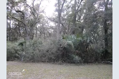 V/L 1005 Doubloon Court, Saint Marys, GA 31558 - Photo 1