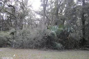 V/L 1005 Doubloon Ct, Saint Marys, GA 31558 - Photo 1