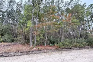 0 Raymona 10Acres Rd, Brooklet, GA 30415 - Photo 1