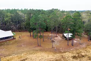 418 Oglesby Pond Ln, Portal, GA 30450 - Photo 34