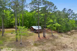 418 Oglesby Pond Ln, Portal, GA 30450 - Photo 4