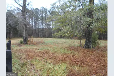 +/- 14 Acres Youth Jersey Road, Covington, GA 30014 - Photo 24