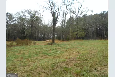 +/- 14 Acres Youth Jersey Road, Covington, GA 30014 - Photo 14